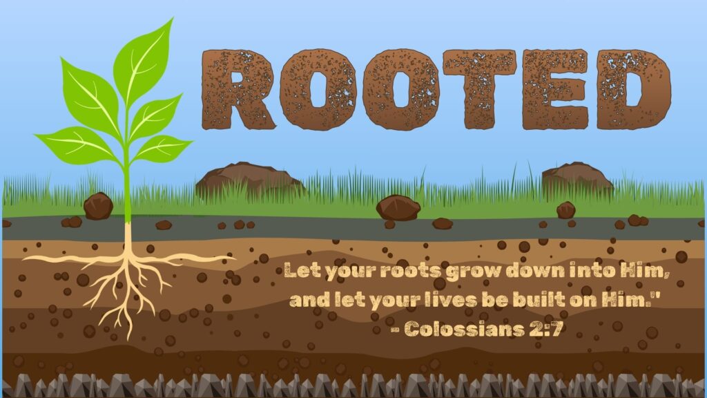View-Kids-Rooted